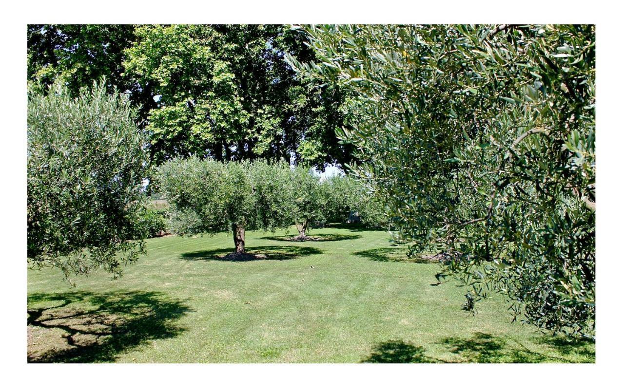 Le Domaine De Laforest ฟองต์วิลเย ภายนอก รูปภาพ